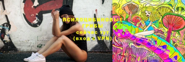 индика Лиски