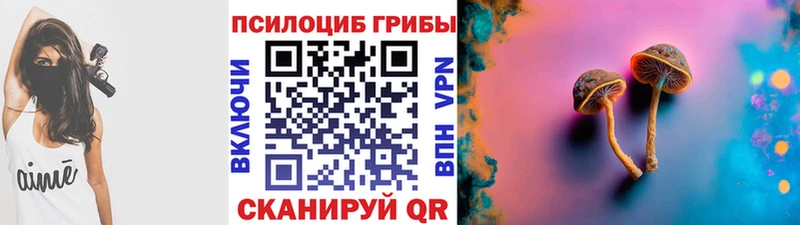 Купить закладки Макарьев Галлюциногенные грибы Cubensis